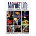 Guide to Marine Life: Caribbean-Bahamas-Florida