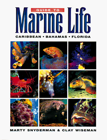 Marine Life