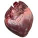 711VQIS1xGL. SL75  Fats Can Be Good!