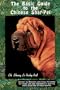 Basic Guide to the Chinese Shar-Pei