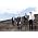 Thumbnail image of Cut Copy