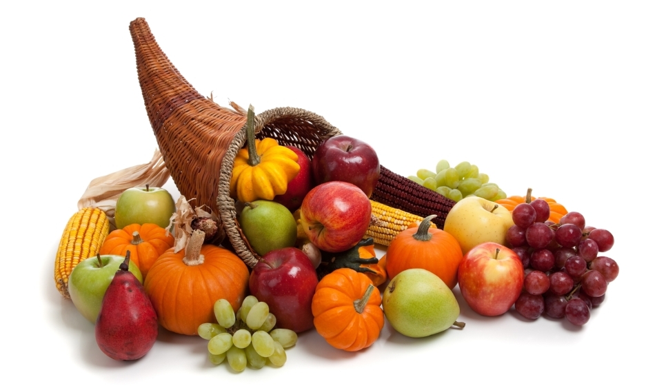 Basic Healthy Life About Us
