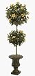 Artificial Growth W-60250 - 6 Foot Hibiscus Topiary - Peach
