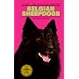 Belgian Sheepdogs