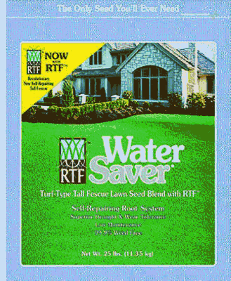 Barenbrug 11625 25lb Water Saver Seed
