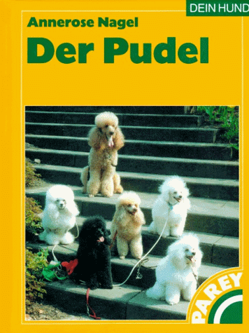 praktische