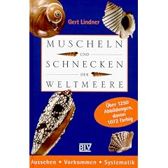 Muscheln und Schnecken der Weltmeere. Aussehen, Vorkommen, Systematik