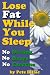 Book Lose Fat While You Sleep