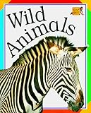 Wild Animals (Snap Shot)