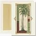 Palm Tree with Lights Boxed Holiday Cards