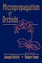 Micropropagation of Orchids
