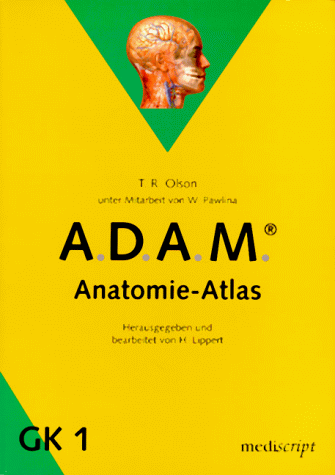 Anatomie