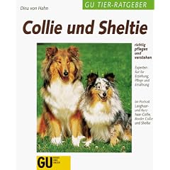 Collie und Sheltie richtig pflegen und verstehen