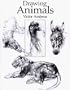 Drawing Animals