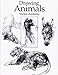Drawing Animals