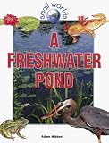  : A Freshwater Pond (Small Worlds)