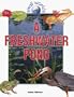 A Freshwater Pond (Small Worlds)