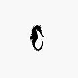 Seahorse Vinyl Graphic Sticker Decal Seahorse Vinyl Graphic Sticker Decal