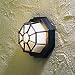 7091 Black Exterior Wall Light