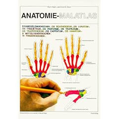 Anatomie - Malatlas (Broschiert)