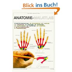 Anatomie - Malatlas