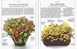 Cover of Container Gardening Through the Year by Malcolm Hillier Nigel Marven 0751305650