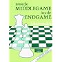 From Middlegame Into Endgame