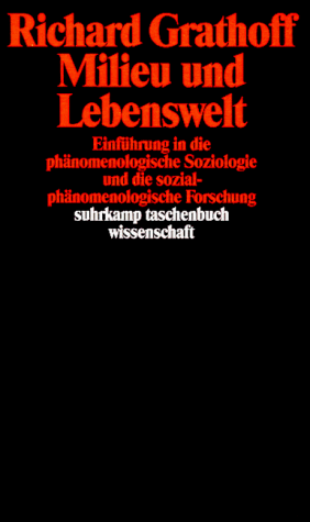 phaenomenologische