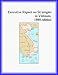 Book Executive Report on Strategies in Vietnam,1999 edition (Strategic Planning Series)