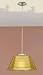 Eglo 87488A Fargo Hanging Lamp- Matt Nickel