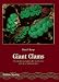 Giant Clams: A Comprehensive Guide to the Identification and Care of Tridacnid Clams