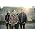Thumbnail image of The Gaslight Anthem