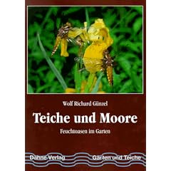 Teiche und Moore