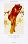 �ber Baselitz: Aufs�tze und Gespr�che 1976-1996