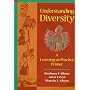 Understanding Diversity: A Learning-as-Practice Primer