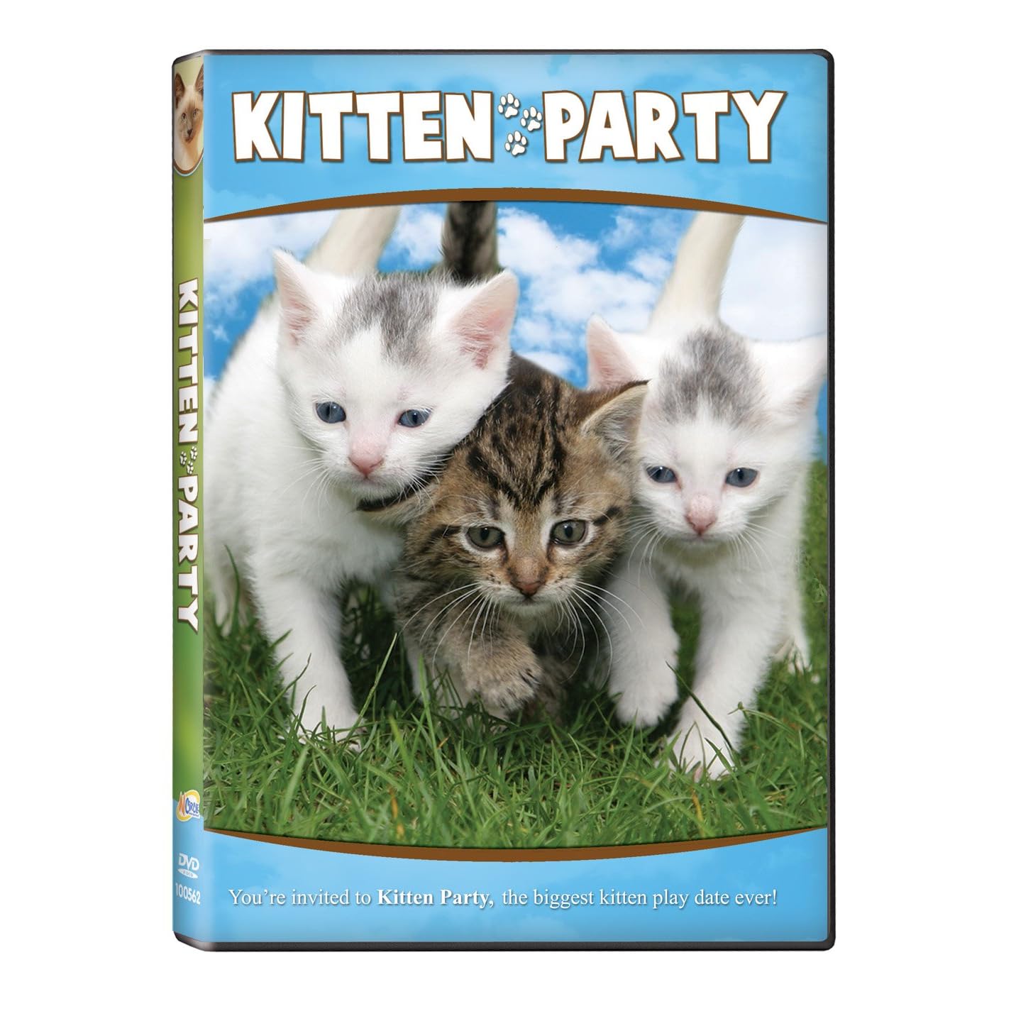 Kitten Party Movie
