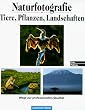 Naturfotografie - Tiere, Pflanzen, Landschaften: Wege zur professionellen Qualit�t