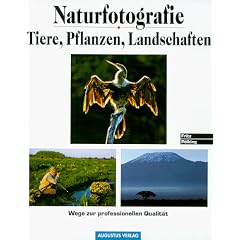 Naturfotografie - Tiere, Pflanzen, Landschaften: Wege zur professionellen Qualit�t