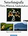 cover of Naturfotografie - Tiere, Pflanzen, Landschaften: Wege zur professionellen Qualität