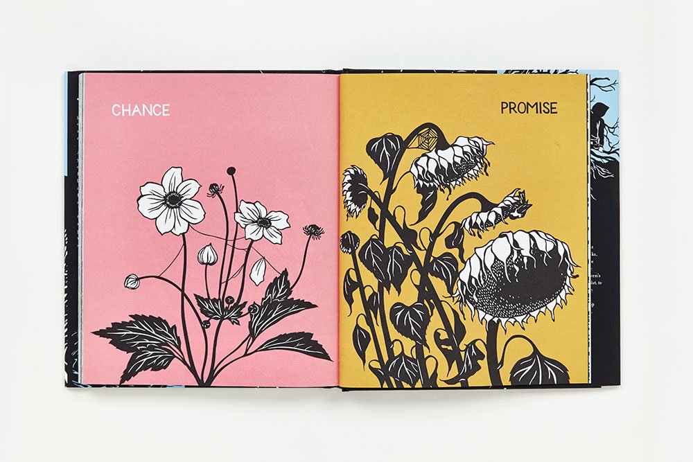 Collect Raindrops (Reissue): The Seasons Gathered: Nikki McClure ... Collect Raindrops (Reissue): The Seasons Gathered: Nikki McClure ...