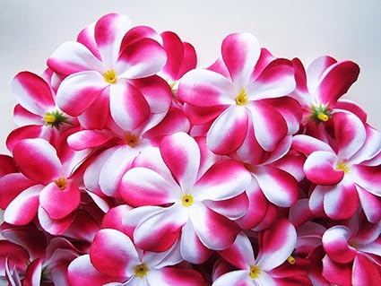 Hot pink silk wedding flowers wholesale