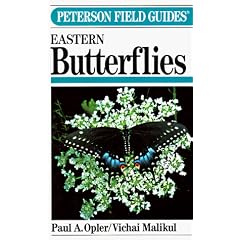 A Field Guide to Eastern Butterflies