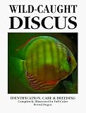 Wild-Caught Discus