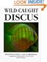 Wild-Caught Discus