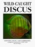 Wild-Caught Discus