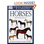Horses (DK Handbooks)