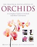 Cover of The Practical Encyclopedia of Orchids by Brian Rittershausen Wilma Rittershausen 0754806308