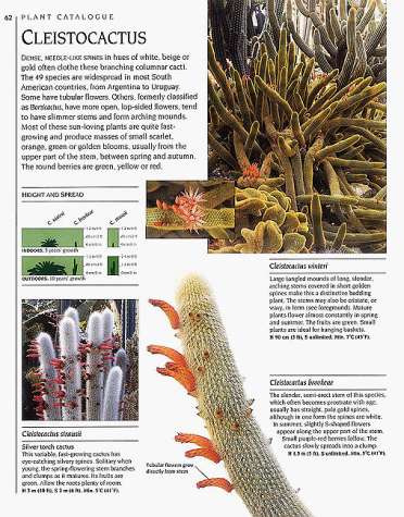 The Complete Book of Cacti & Succulents
