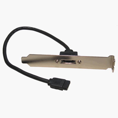 Childrens Toyshop  Computer : SATA Serial ATA to eSATA Backplate use with ext caddy