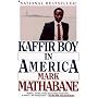 Kaffir Boy in America
